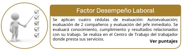 Proceso 3